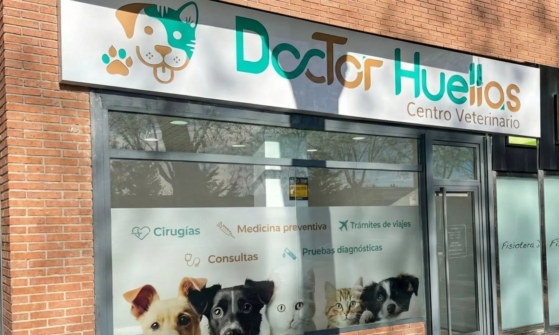 Esterilización de gatos y perras hasta 20 kg