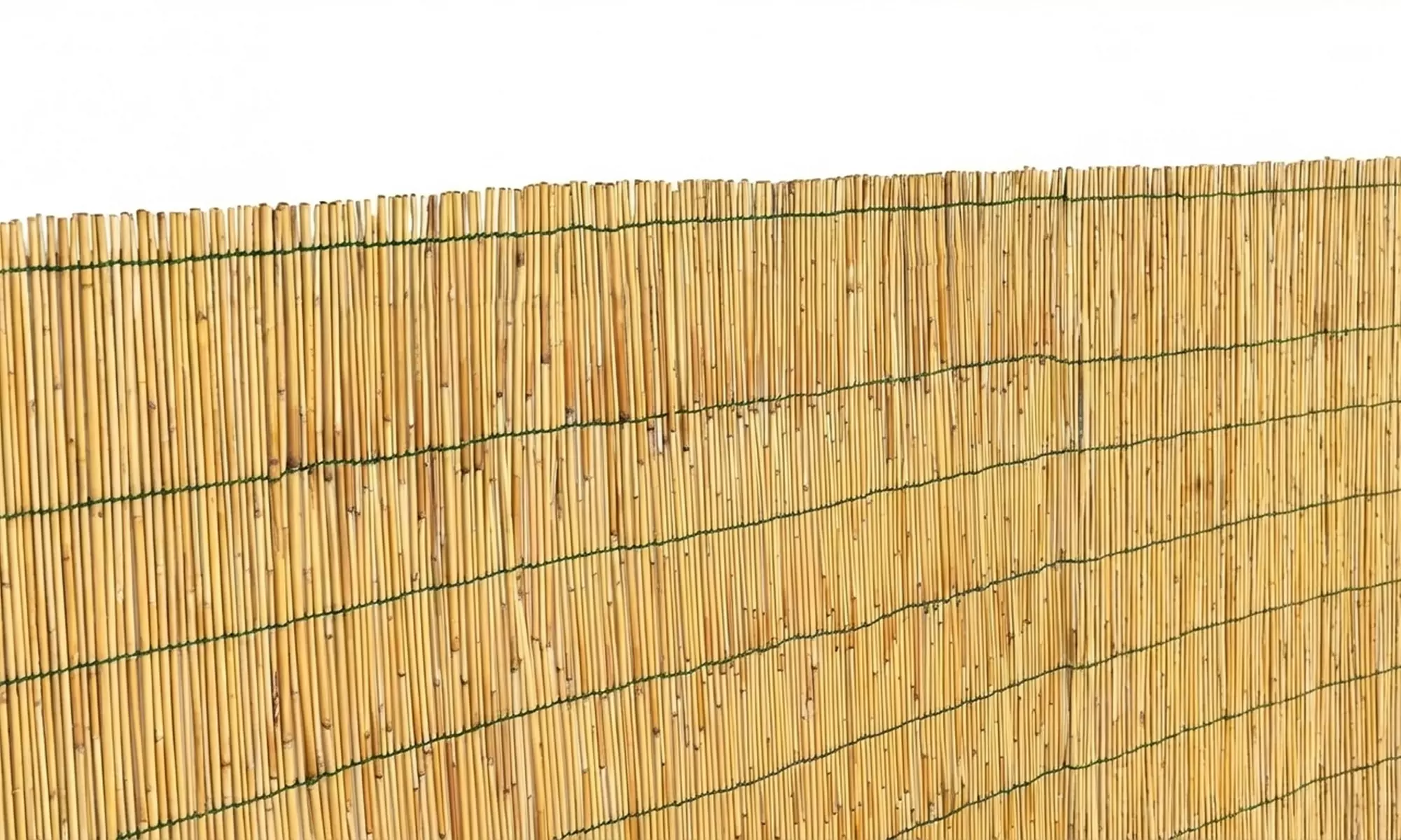 Arella in bamboo naturale frangivista