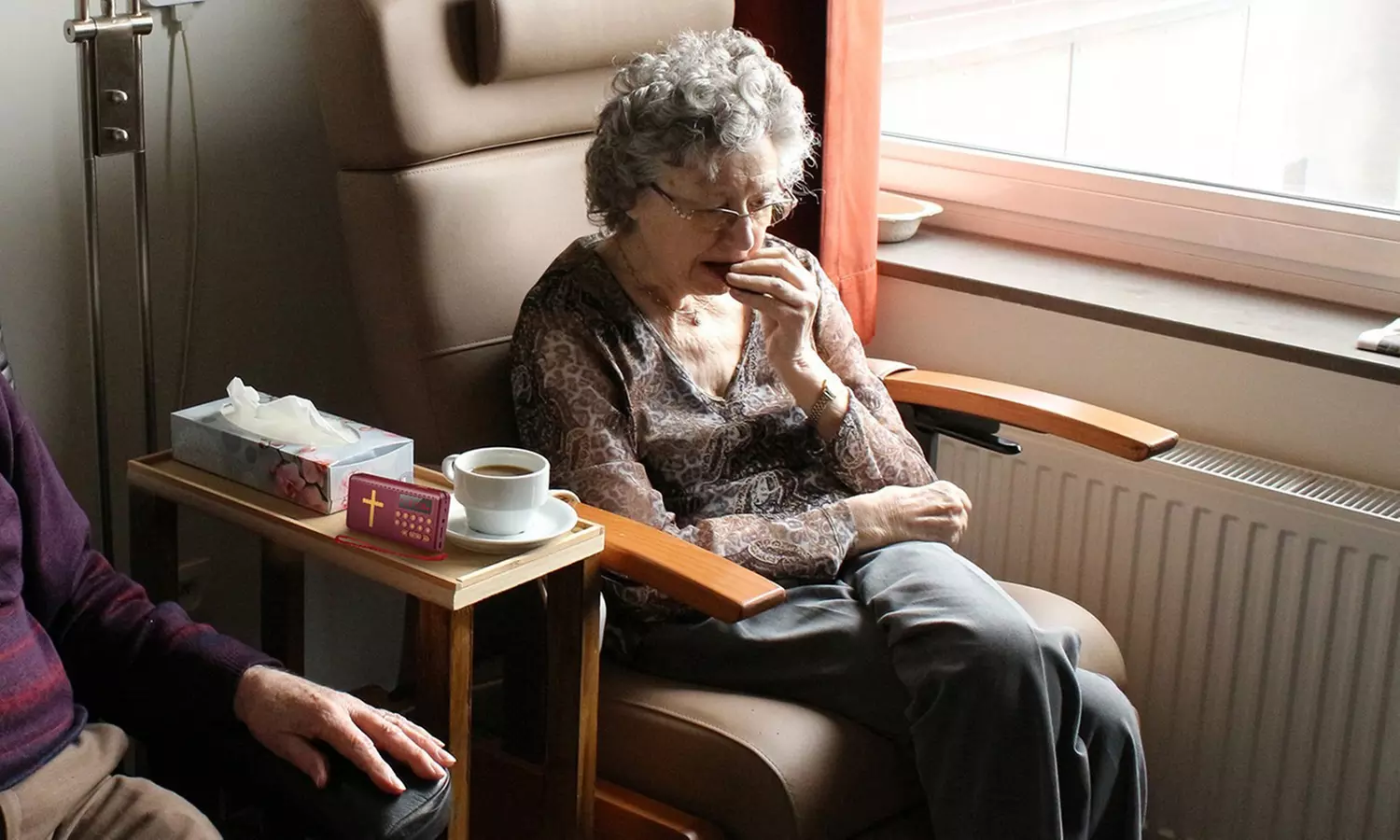 iMounTEK Electronic Audio Bible Player King James Version with Clear Narration