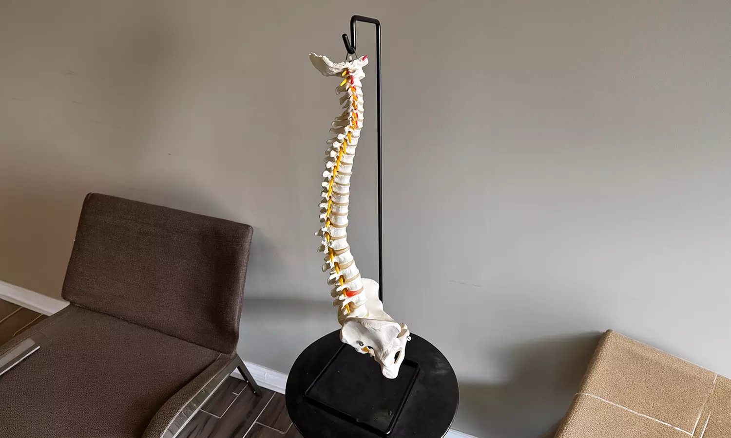 Deep Tissue or Swedish Massages & Chiropractic Packages for Wellness