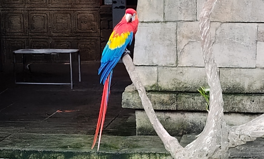 Image 19: Member-Only Deal: Coastal Galveston Resort, includes Value Pass
