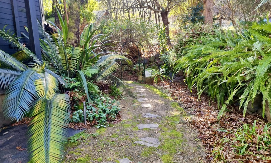 Image 12: Mountain Retreat, Yarra Valley: 1-3-Night in Cottage