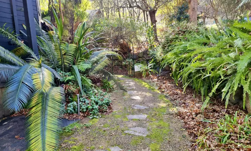 Image 12: Mountain Retreat, Yarra Valley: 1-3-Night in Cottage