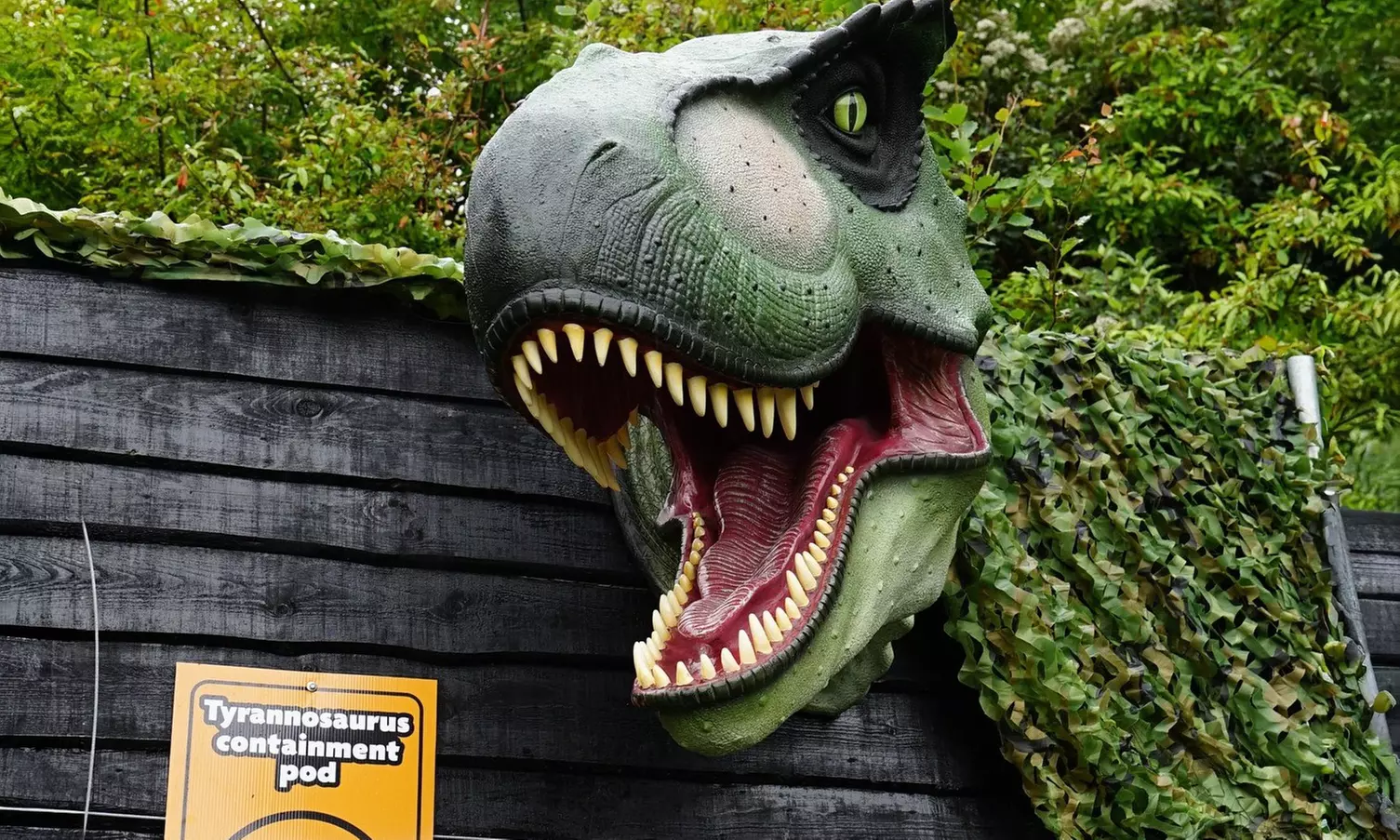 General Admission to Belfast Zoo For Child, Adult, or Family