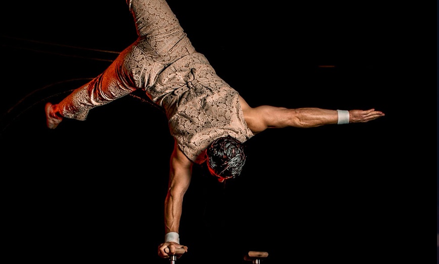 Image 4: Circo "Terra": entrada para niño o adulto del 21 al 29 de diciembre