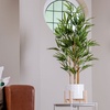 Image 3: Artificial Plants and Trees - Bamboo, Ficus, Olive and Palm
