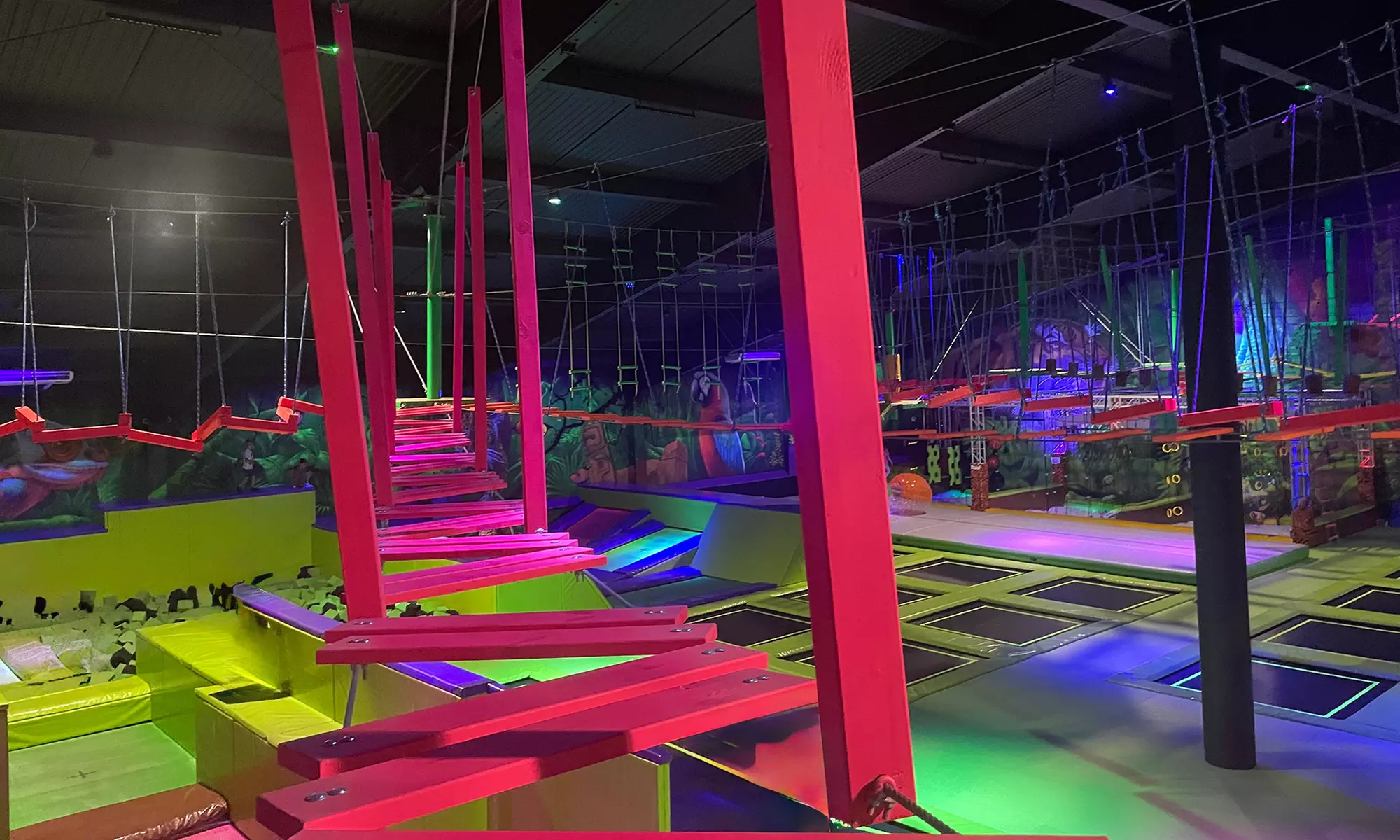 Odlotowa rozrywka w sercu dzikiej dżungli: codzienne bilety wstępu