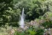 Explote 20 Acres of Vibrant Gardens at Rotary Botanical Gardens - Second Medium