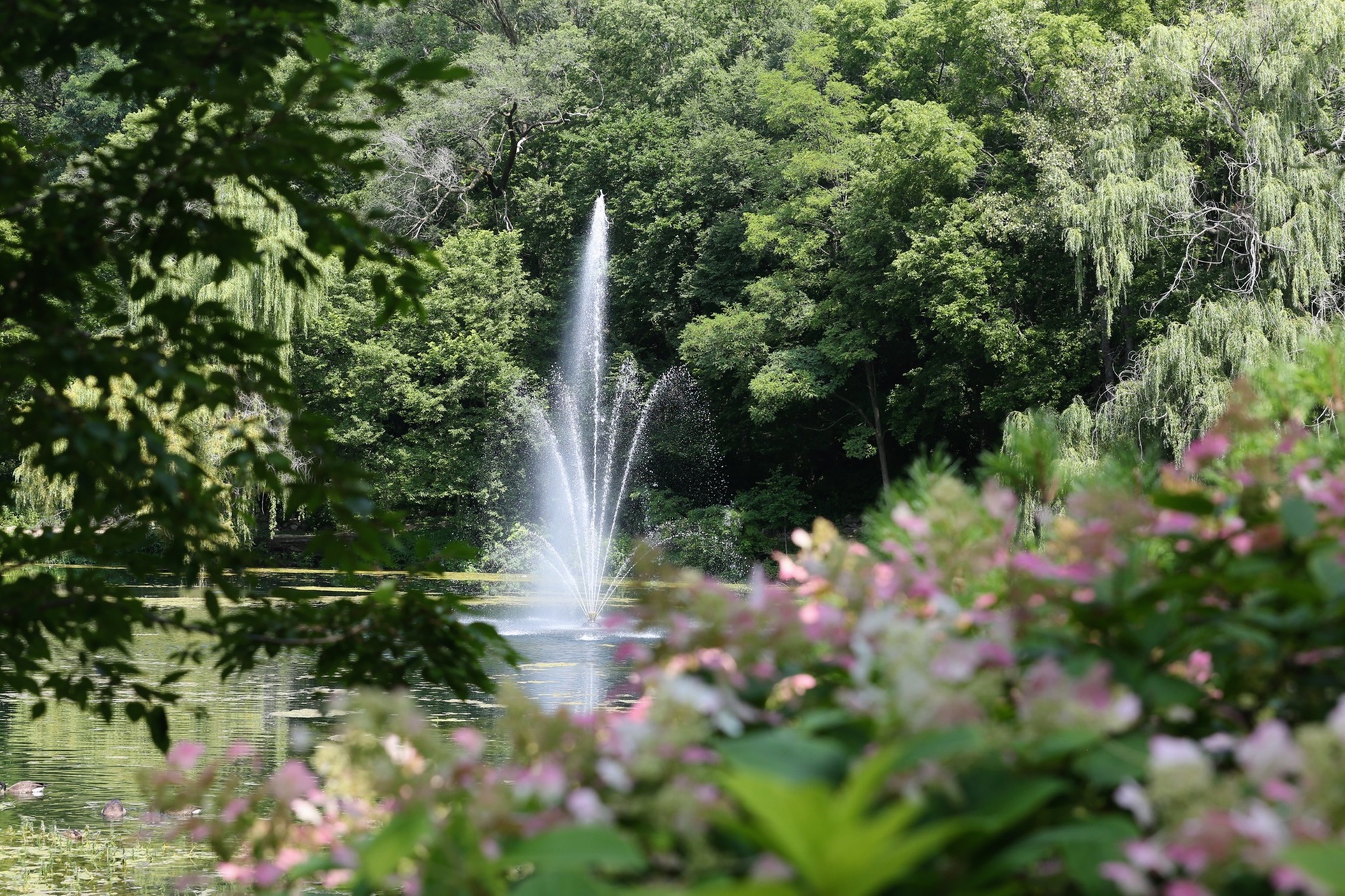 Explore 20 Acres of Beauty & Fun at Rotary Botanical Gardens