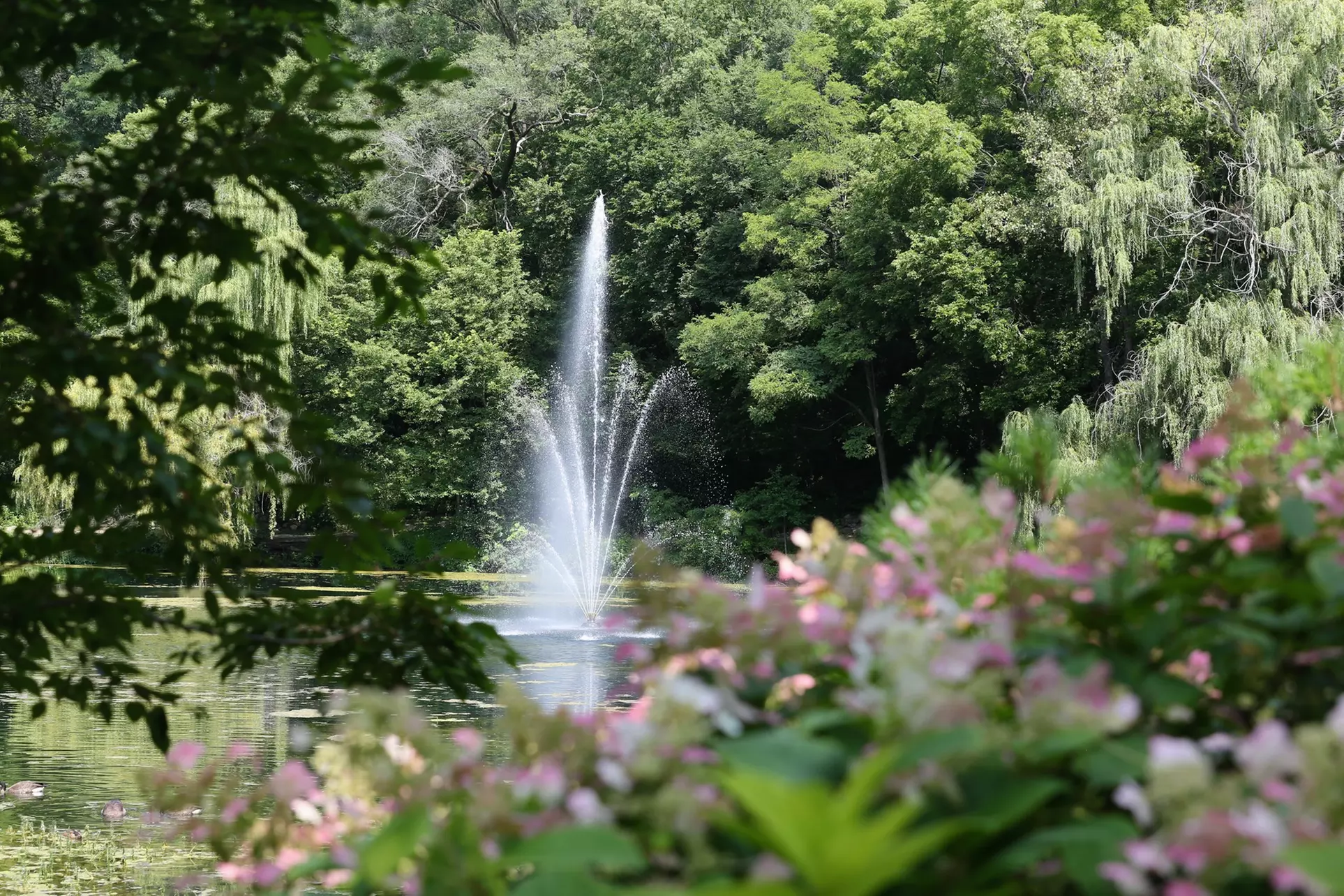 Explore 20 Acres of Beauty & Fun at Rotary Botanical Gardens