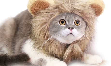 Criniera leonina per gatto, disponibile in 3 taglie