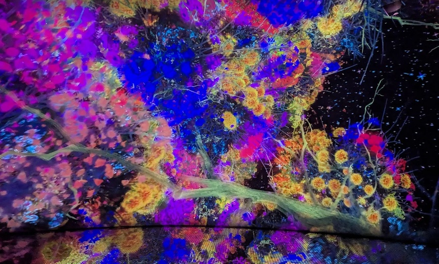 Image 5: Explore TeamLab Phenomena General Admission for Adults and Youths