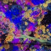 Image 5: Explore TeamLab Phenomena General Admission for Adults and Youths