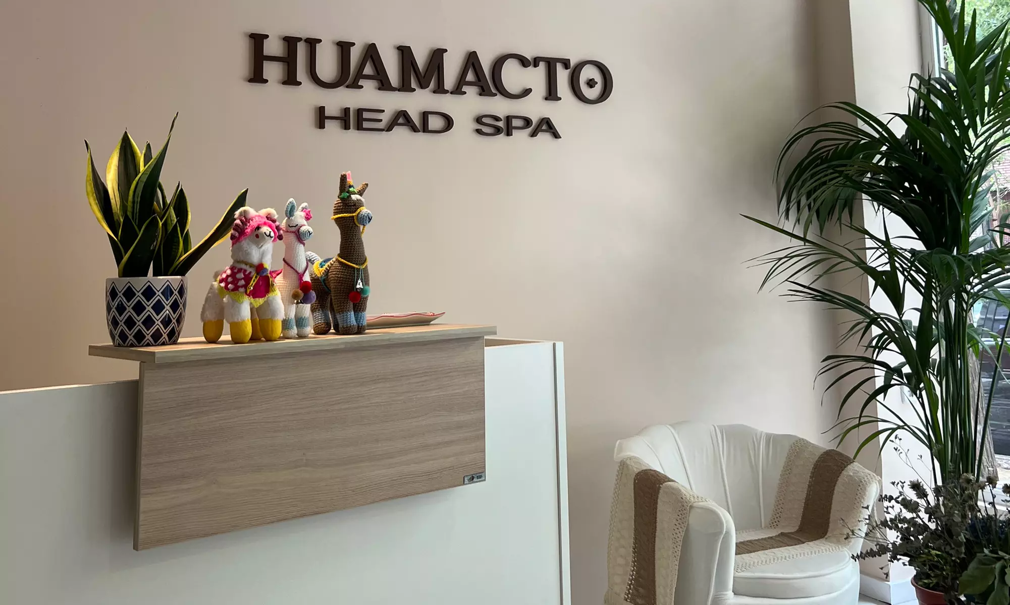 Experiencia head spa Narciso de 1 hora para hasta 4 personas