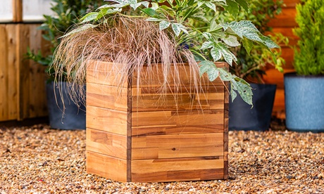 Groupon Unisex Grain Garden Gear Acacia Hardwood Planters: Cube Planter/One