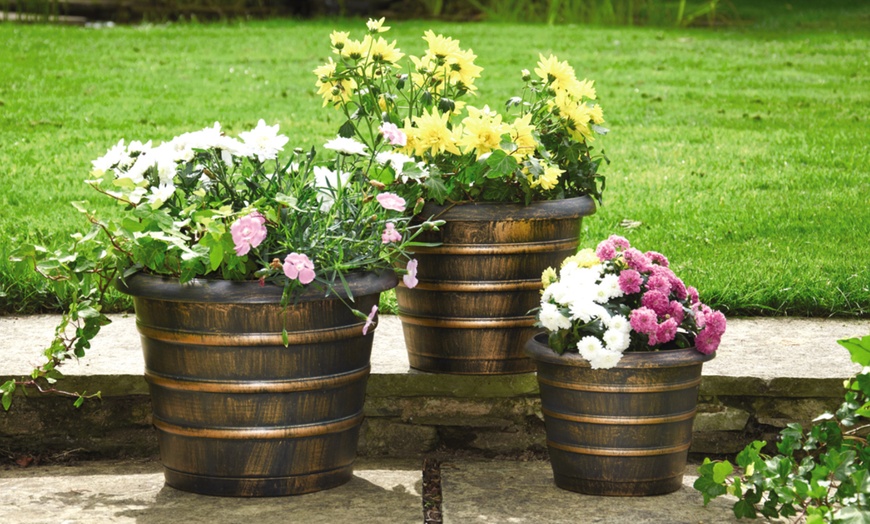 Image 11: Decorative Garden Patio Planters