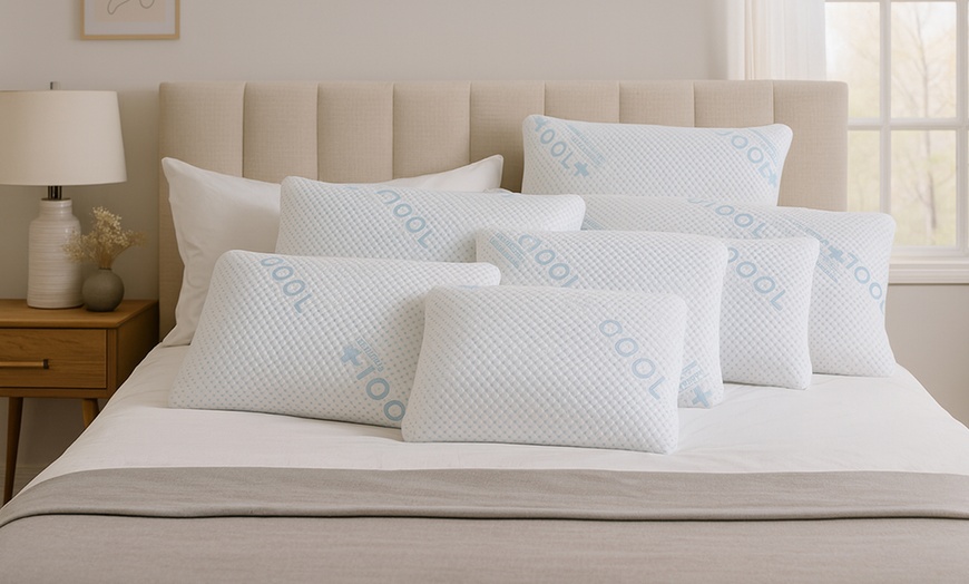 Image 1: Traversin à mémoire de forme avec housse rafraichissante, Sampur