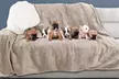 Waterproof Pet Blanket XL Throw Protects Couch Car Bed 70 x 60 Tan - Second Medium