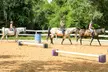 Discover Florida’s Beauty on Horseback: Group or Private Trail Ride for 2, 3, or 4 People (Up to 43% Off) - Second Medium