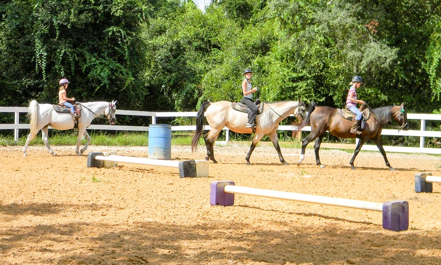 Image 7: Explore Serene Guided Group/Private Horseback Trail Ride for 2, 3 or 4