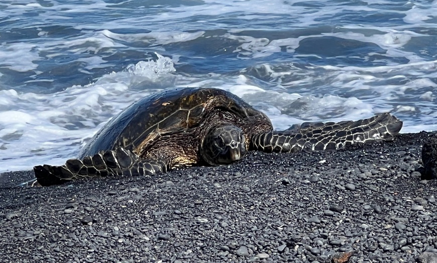 Image 8: Explore Big Island Highlights with a Private Custom Tour