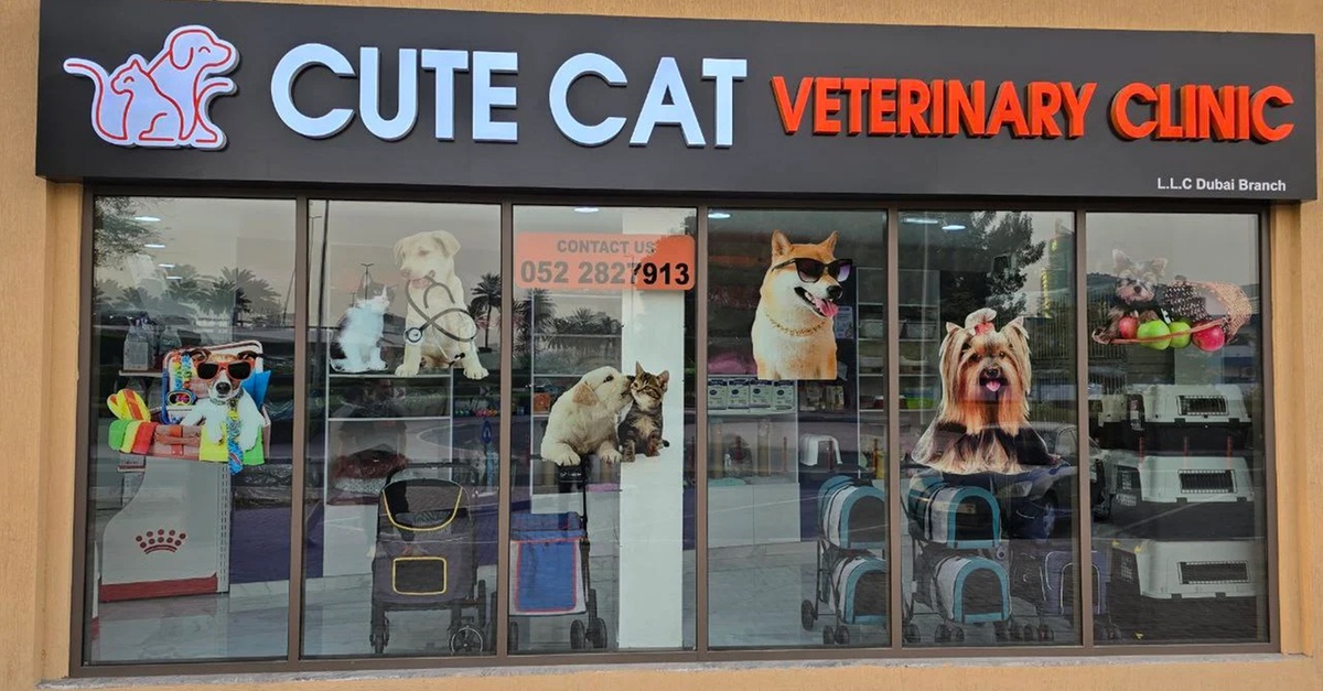 Dog & Cat Medical Check-Up, Annual Vaccination & Wellness Packages Dog & Cat Medical Check-Up, Annual Vaccination & Wellness Packages