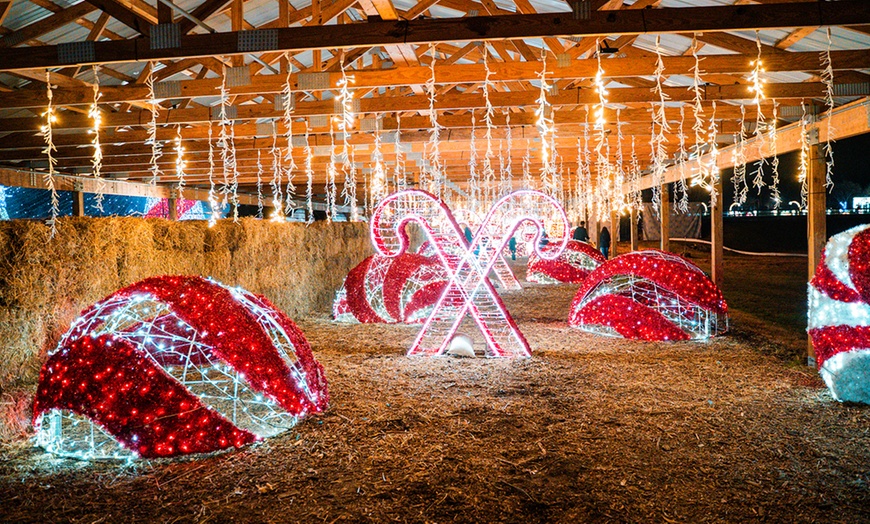 Image 6: Dazzling Winter City Lights Holiday Experience & Snow-Tubing