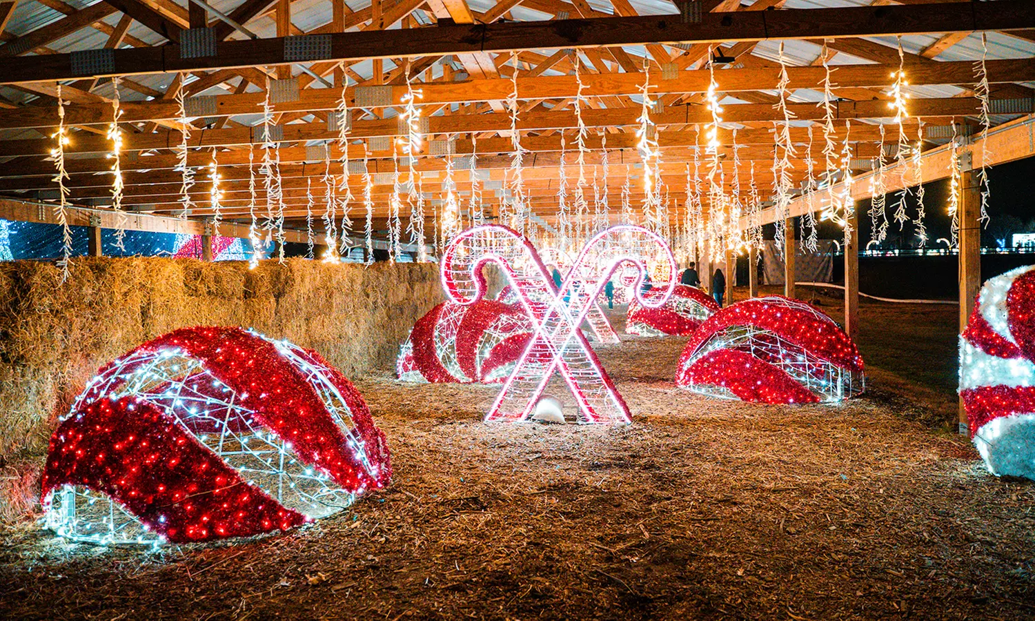 Dazzling Winter City Lights Holiday Experience & Snow-Tubing