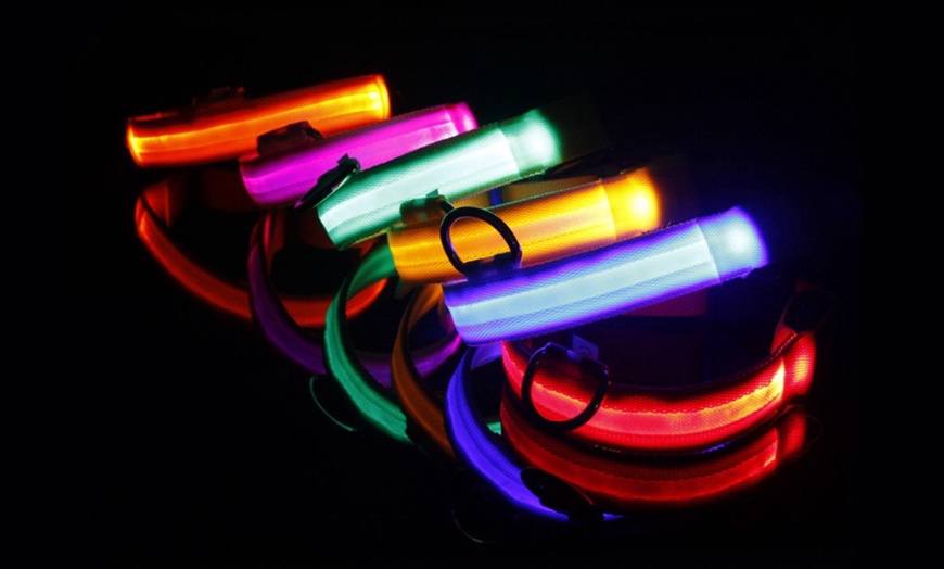 Image 1: SAFETY LED Dog Pet Light Up Collar Night Glow Adjustable Bright 5 Color Leash