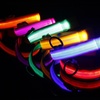 Image 1: SAFETY LED Dog Pet Light Up Collar Night Glow Adjustable Bright 5 Color Leash
