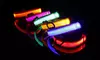 SAFETY LED Dog Pet Light Up Collar Night Glow Adjustable Bright 5 Color Leash