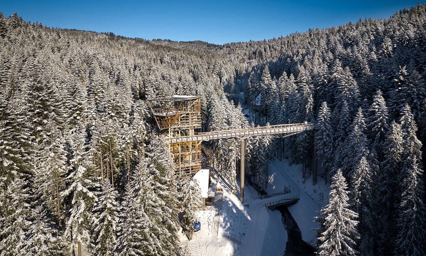 Image 16: Odkryj magię natury w Centrum Przyrodniczo-Edukacyjnym Brama w Gorce