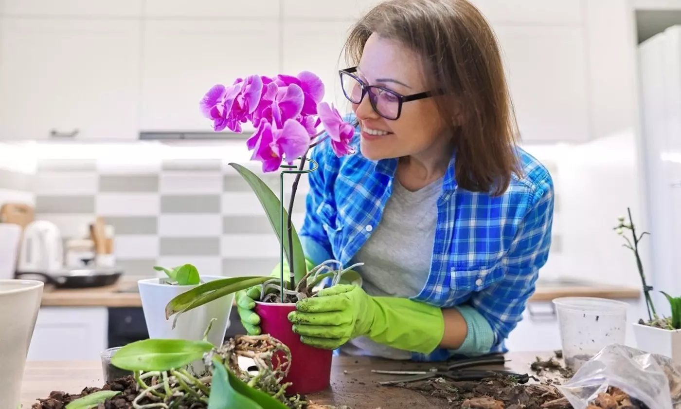 iNova 10"/16" Garden Plant Support Stakes Single Stem Flower Support (10-Pack)