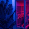 Image 1: Detox, Recharge & Glow: Choose Infrared Sauna, Lymphatic Roll, or Red Light Therapy