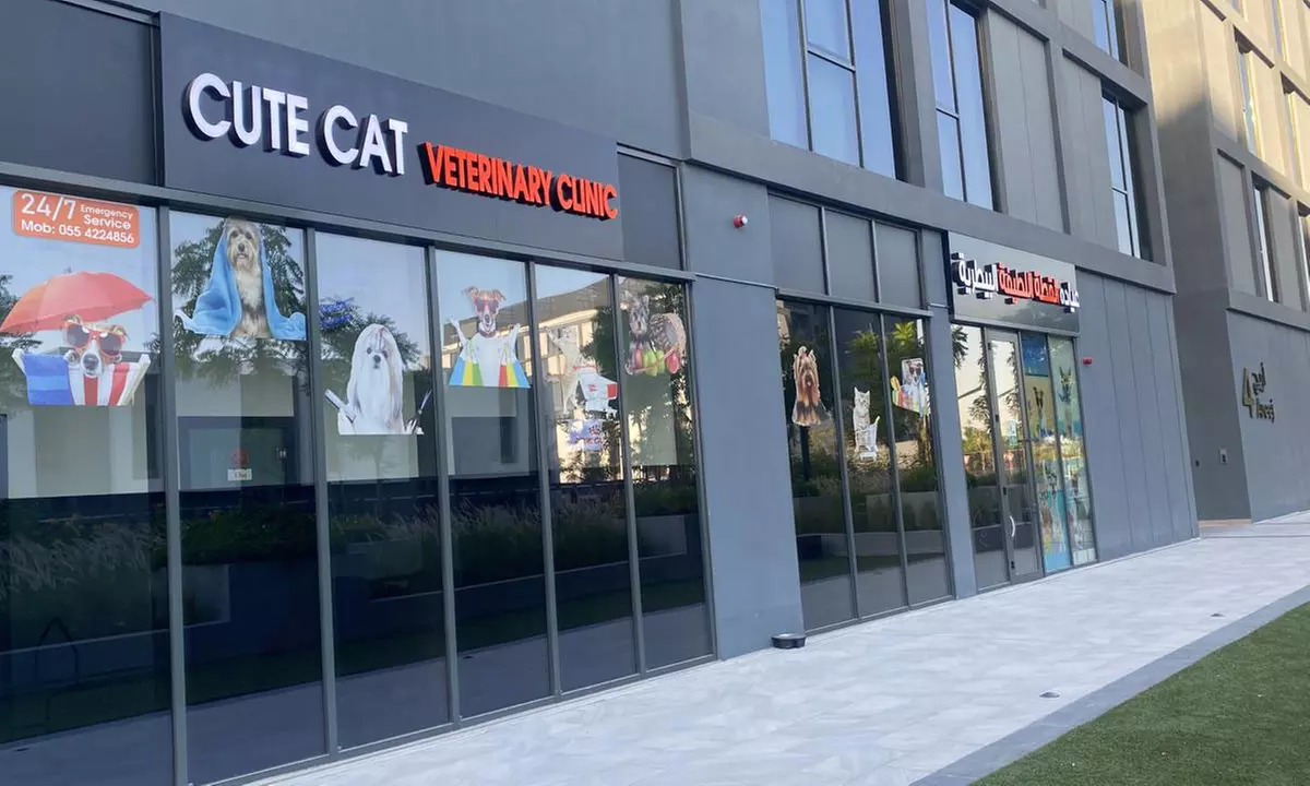 Get Specialized Vet Care for Your Pet at Cute Cat Veterinary Clinic