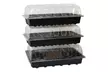 Up to Nine Plug & Seed Growing Trays - Image 3