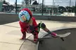 Discover 1, 2, or 3 Group Skateboarding Lessons for Kids at Sk8boarding lessons - Up to 50% Off - Second Medium