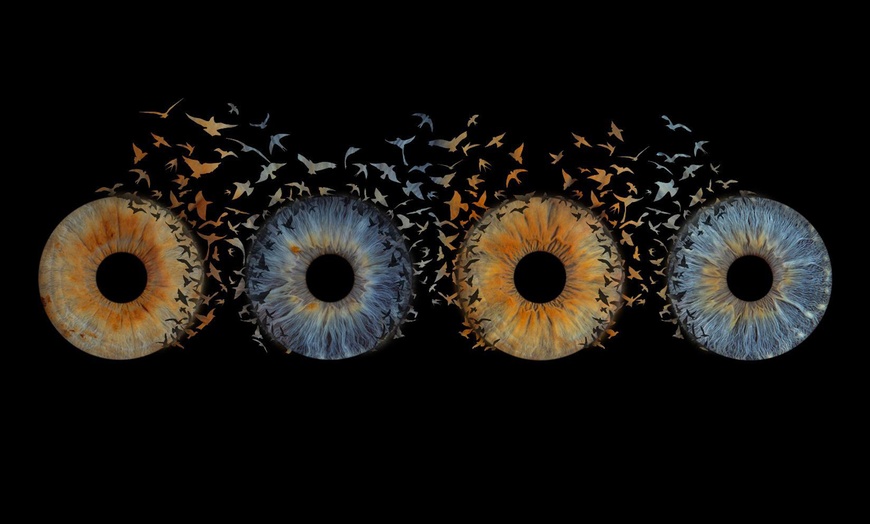 Image 3: Iris-Fotoshooting opt. mit Effekt für 1 - 4 Personen