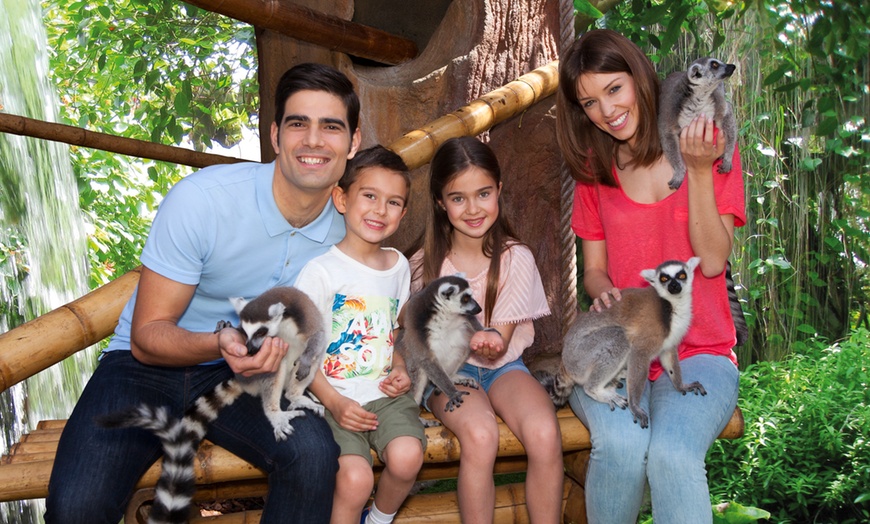 Image 10: Diversión en familia con una entrada a MundoMar y/o Aqualandia