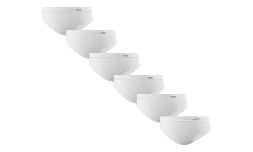 Image 24: Liabel Slips oder Tops für Damen