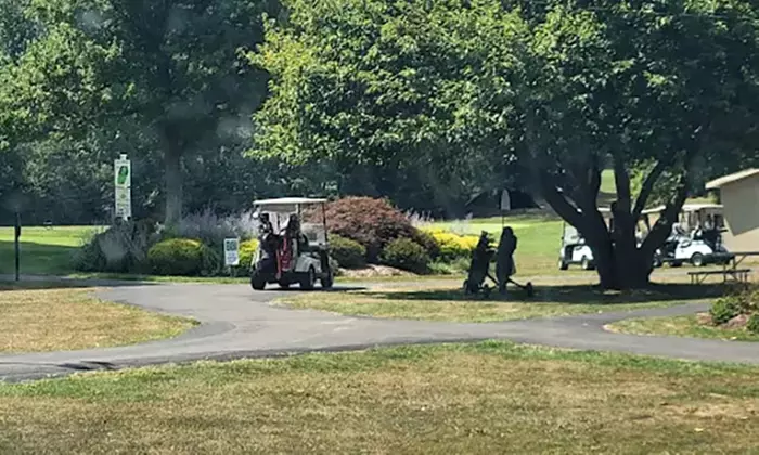 Up to 51% Off on Golf at Shade Mountain Golf Course