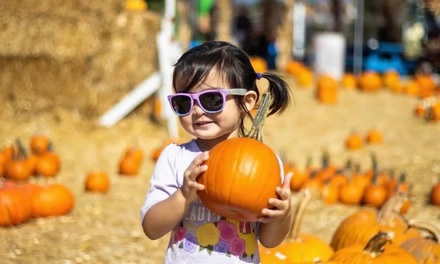 Two Adult and One Kid Admission (Mon-Thurs Only) - Speer Family Farm Pumpkin Patch