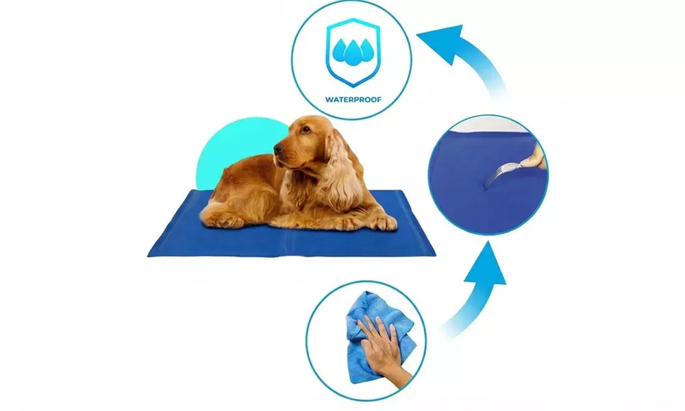 Tapis rafraîchissant pour chiens