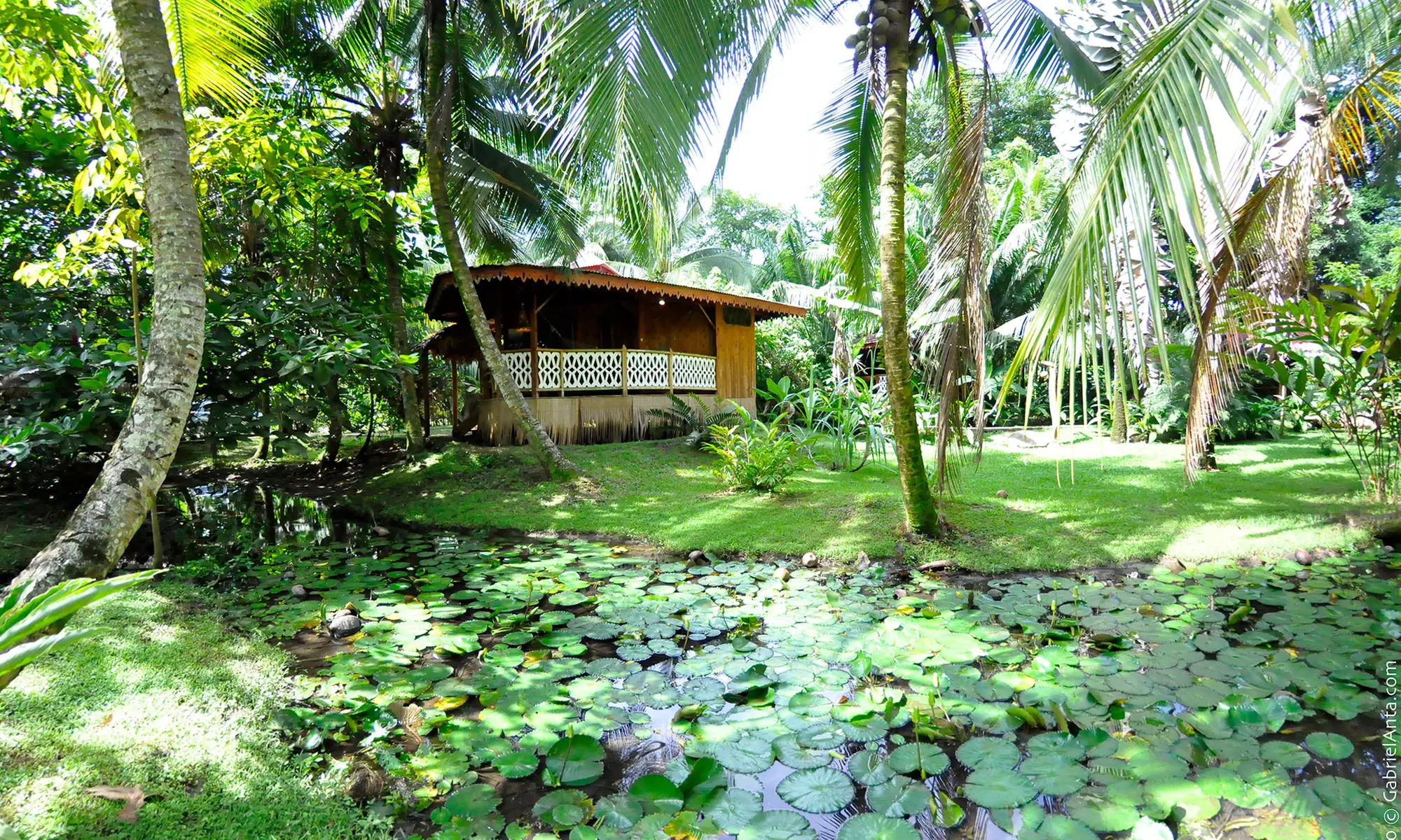 Costa Rica Vacation. Price is per Person, Based on Two Guests per Room. Buy One Voucher per Person. - Primary Image