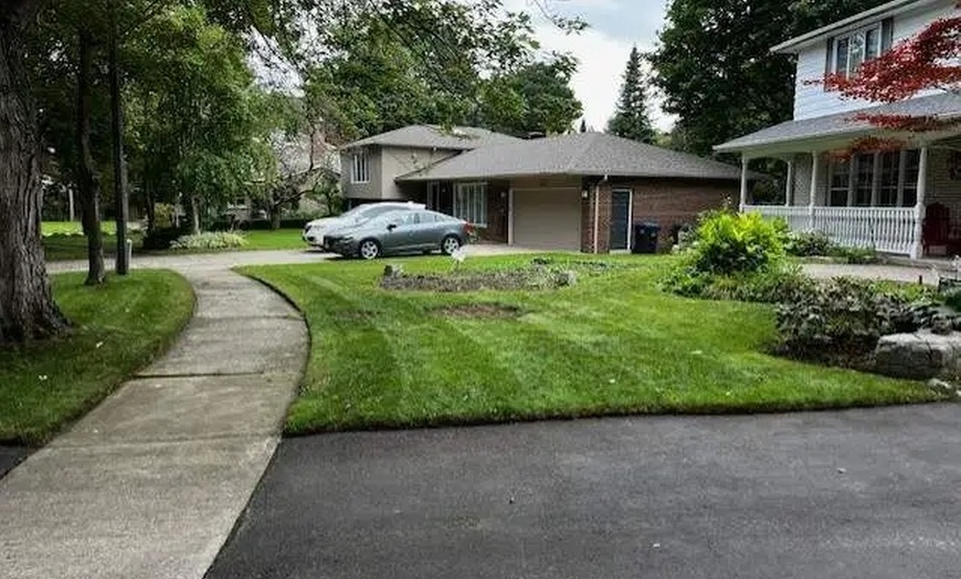 Image 3: Trial and Weekly Lawn Care Packages