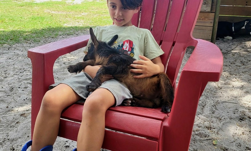 Image 3: Hands-On Animal Encounters Polk City