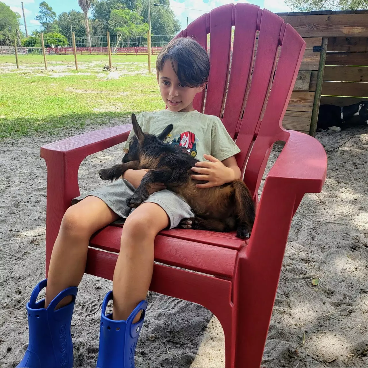 Hands-On Animal Encounters Polk City