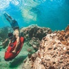 Image 11: Up to 41% Off SEABOB Snorkel Tours – Fort Lauderdale Beach
