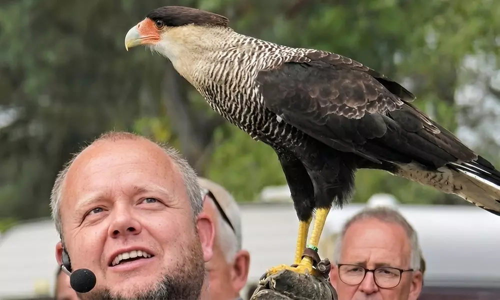 Interactieve roofvogelworkshop bij Settels Roofvogels