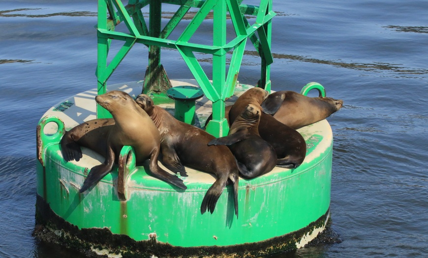 Image 10: Luxury San Diego Whale Watching Tour